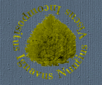 Viscus, incompositus, ignavus, nuntius