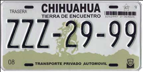 Chihuahua License Plate