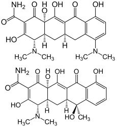 Minocycline and tetracycline structure