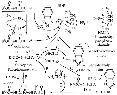 peptide synthesis scheme