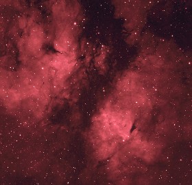 IC 1318 in Cygnus