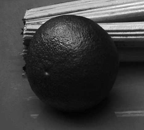 UV photo of grapefruit