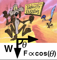 Wiley Coyote gravity lessons
