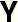Y