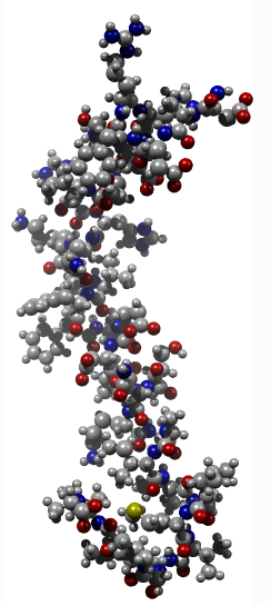 3D model of Beta amyloid