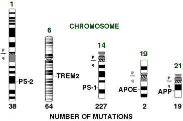 Genes involved in Alzheimer's disease