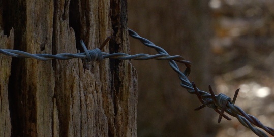 Barbed wire around abandoned coal mine