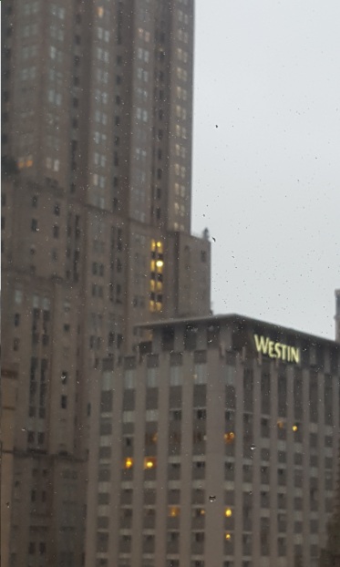 Westin Hotel in Chicago