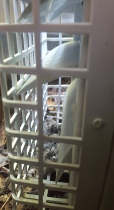 Clothes dryer vent
