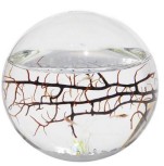 Ecosphere