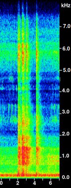 Firearm sonogram