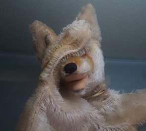 Toy fox facepalming