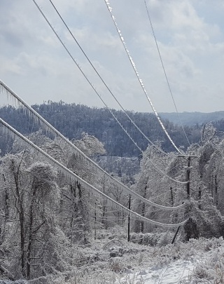 Telephone wires and power lines weighed down by ice