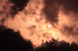 Infrared photo image