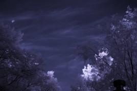 Infrared photo image