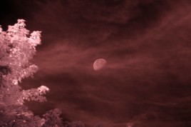 Infrared photo image