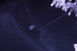 Infrared photo image