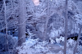 Infrared photo image