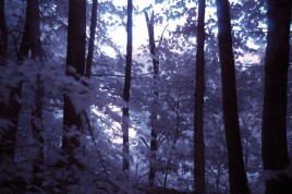 Infrared photo image