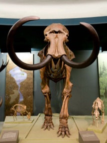 Mammoth