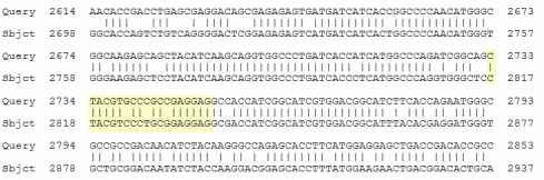 Blast search of Moderna artificial gene