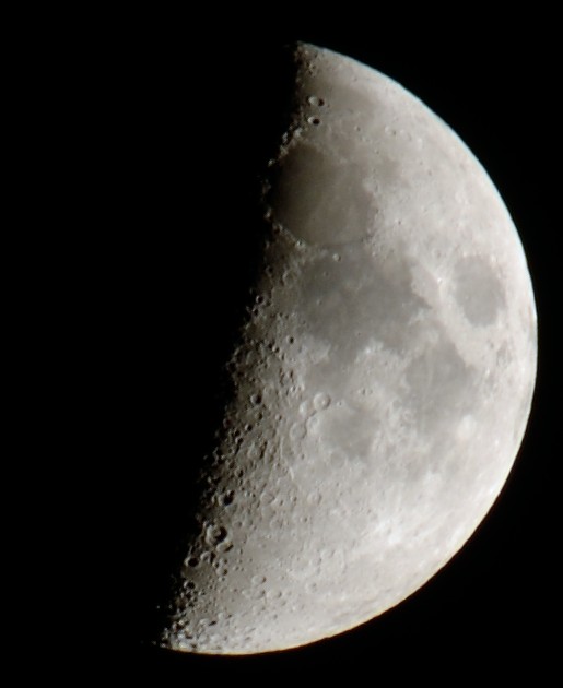 Moon Moon