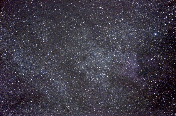Cygnus Cygnus