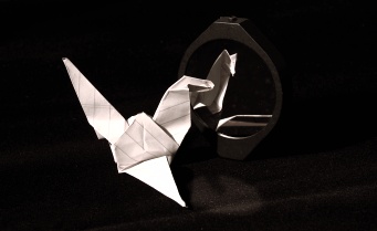 Narcissistic origami bird