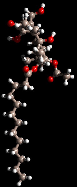Phorbol ester