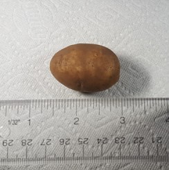 Organic potato