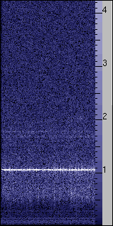 Sonogram of otoacoustic emission