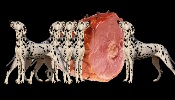 Ham and dalmatians