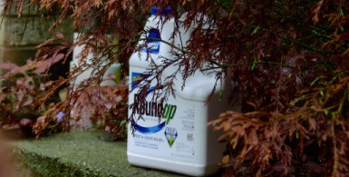 Roundup