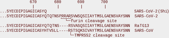 Sars-Cov-2 RaTG13 alignment