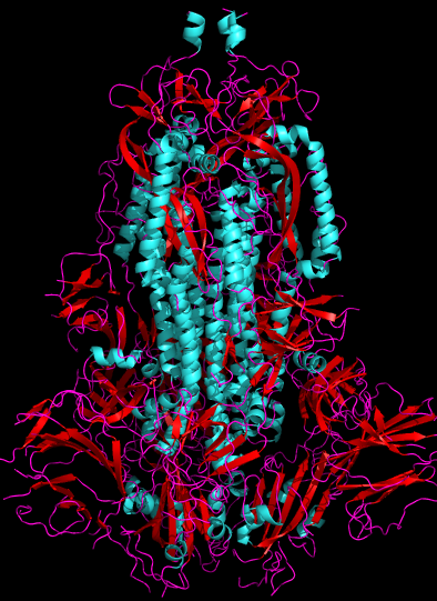 sars cov2 spike glycoprotein side view