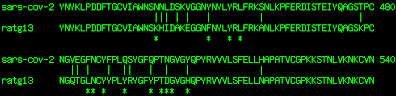 Variable region in SARS-CoV-2 RBM