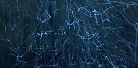 brain connections