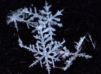 Snowflakes