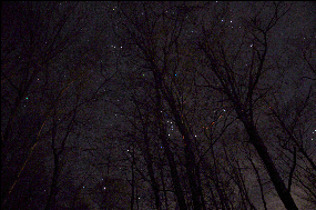 Stars stars