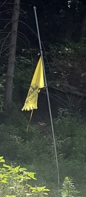 Tattered Gadsden flag