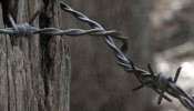 Barbed wire