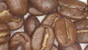 Coffee beans