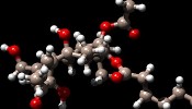 Phorbol ester