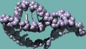RNA pseudoknot 3d structure 1kaj by Kang et al rendered in Chimera