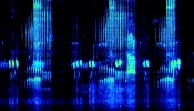 Sonogram of bird calls