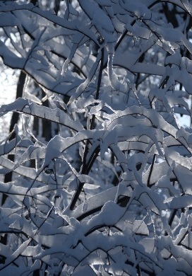 Snow