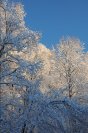 snow070.jpg image