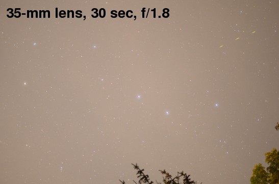 Ursa major Ursa major