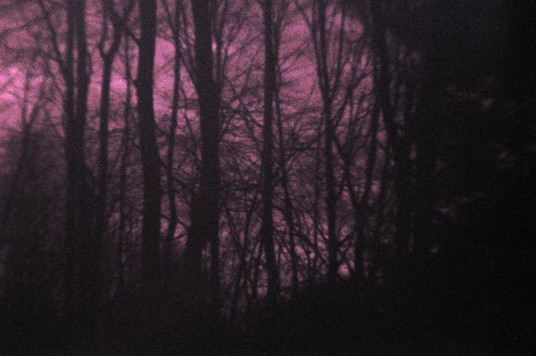 Shortwave UV photo of outdoor scene